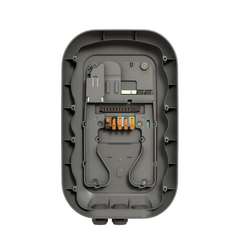 Peblar 6004-2507-0800 Dual Backplate